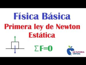 Lee más sobre el artículo 1ra Ley de Newton: Ejercicios