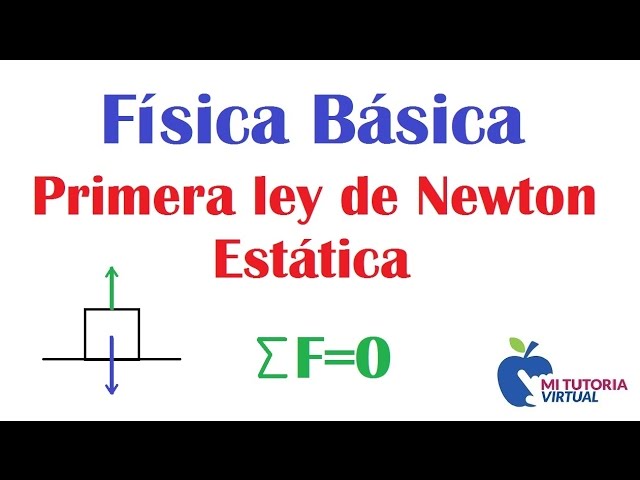 Lee más sobre el artículo 1ra Ley de Newton: Ejercicios