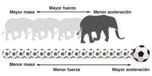 Lee más sobre el artículo 2da Ley de Newton: Ejercicios