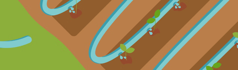 Lee más sobre el artículo Lección 6: Riego