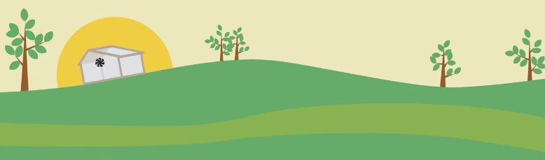 Lee más sobre el artículo Lección 8: Fotosíntesis