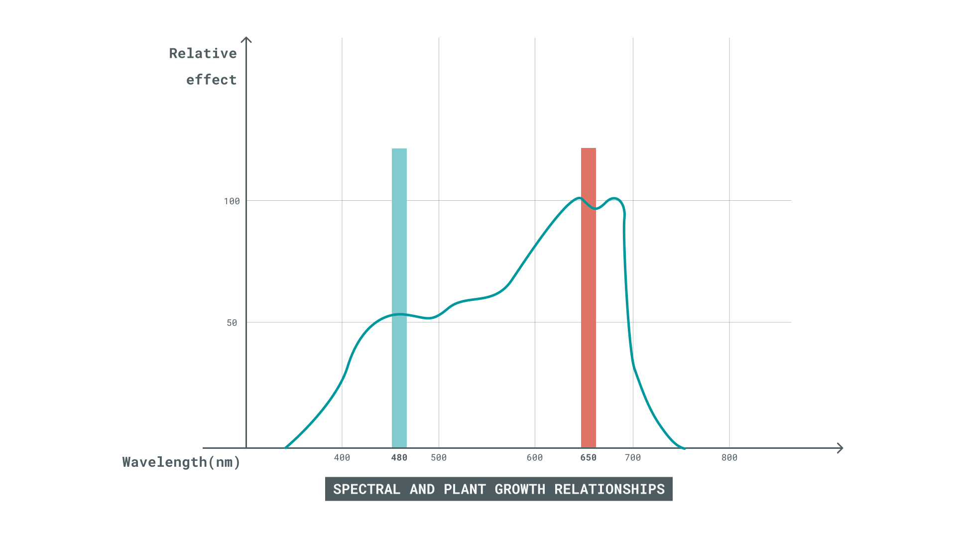 Efecto de la luz roja y azul en la floración de las plantas