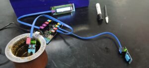 Lee más sobre el artículo 🌱 Nuestro primer prototipo: tecnología que germina