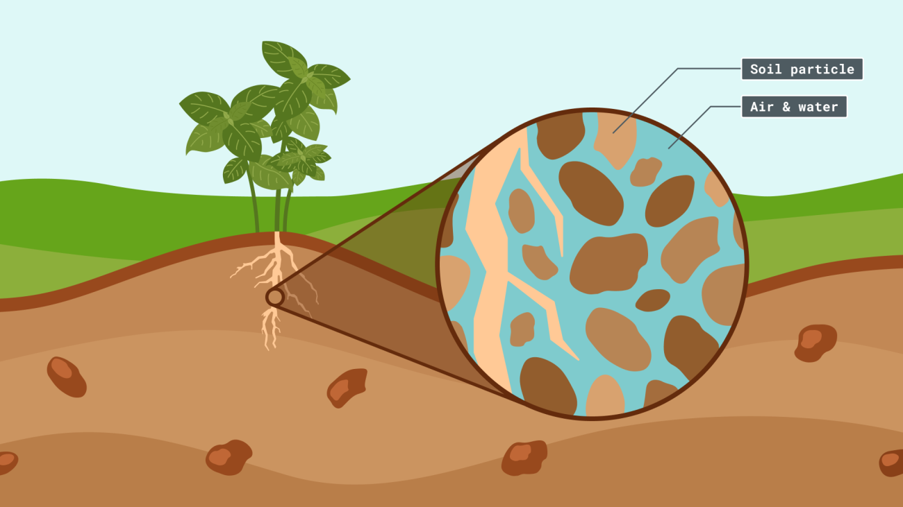 participio de suelo, aire y agua