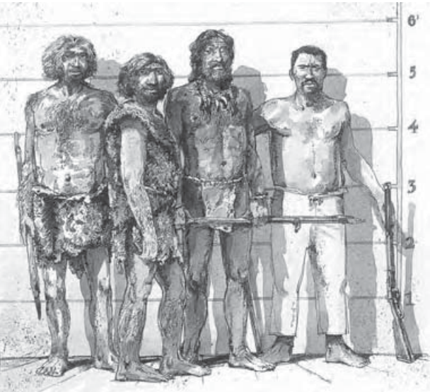 Lee más sobre el artículo Clase 9 – La vida en el Paleolítico – Cazadores y recolectores
